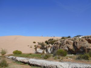 stage-riadlesdeuxmondes_102018